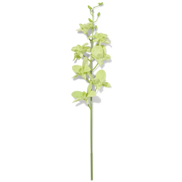 HEMA Kunstbloem dendrobium, kunstflora van rubber, 55 cm, groen