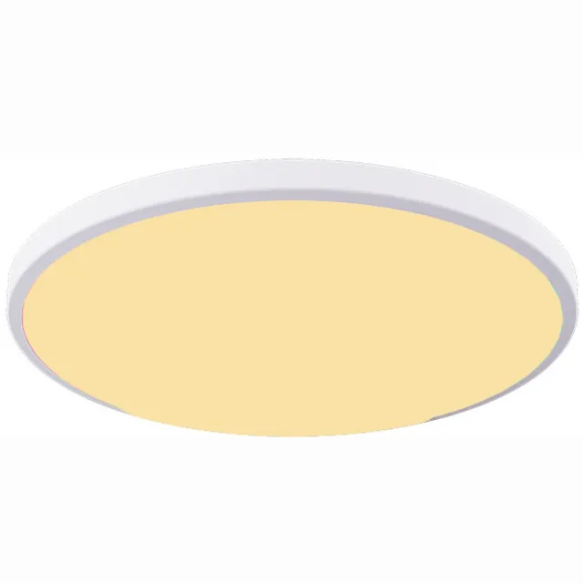 CW Dual-tone LED-plafondlamp met dimfunctie en kleuraanpassing, slimme afstandsbediening, ronde LED-plafondlamp voor slaapkamer - wit frame