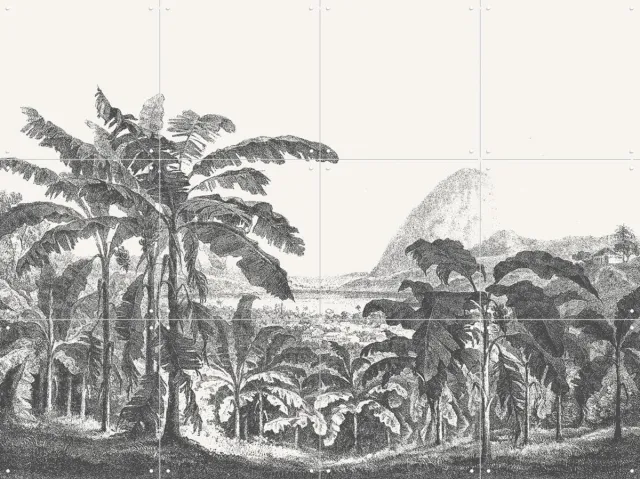IXXI Palms and Mountain, Aster Edition - 80 x 60 cm - Grote wanddecoratie en posters - Naturalisme, Illustraties, Vintage, Houtsnede, Slaapkamer Monochroom / Groen / Zwart en wit