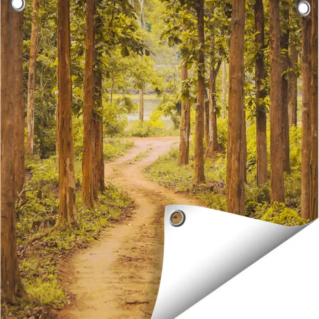 Gards Tuinposter Pad in het Bos met Bomen - 40x40 cm - Tuindoek - Tuindecoratie - Wanddecoratie buiten - Tuinschilderij Multikleur