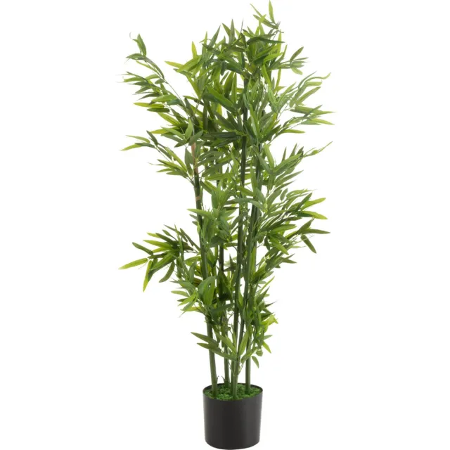 Dulaire Grote Kunst Bamboe Plant groen