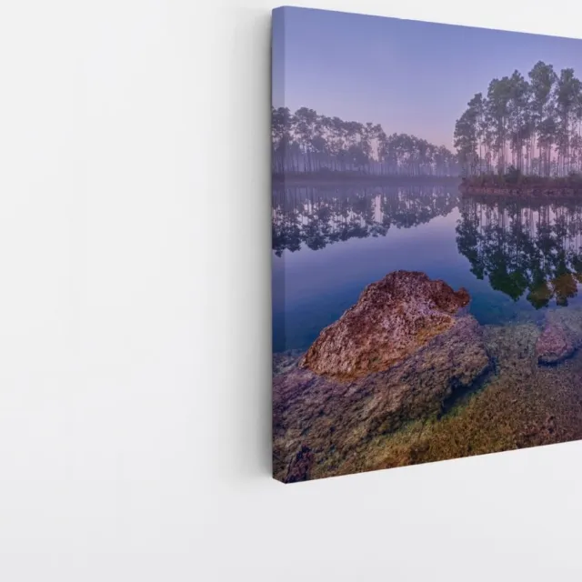 Saammp Canvas Schilderij -Bos - Zonlicht - Zomer - Landschap - Natuur - 40x40 - Foto op canvas - Wanddecoratie - Muurdecoratie Woonkamer - Slaapkamer decoratie - Canvas Print Multicolor