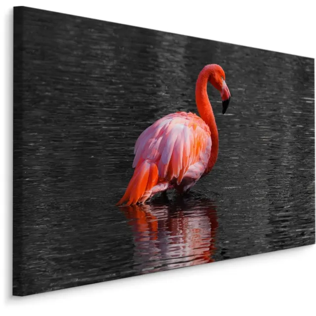 karo-art Schilderij - Flamingo in het water, 4 maten, roze/grijs, Premium print Multikleur