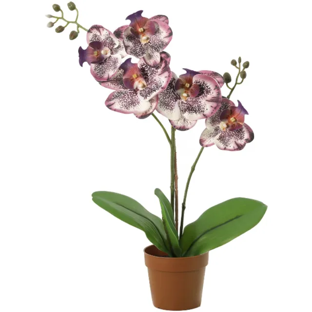 Trendyplants Kunst Phalaenopsis Orchid Purple - Paarse Orchidee - Kunstplant - Hoogte 41cm - Potmaat Ø9cm Groen