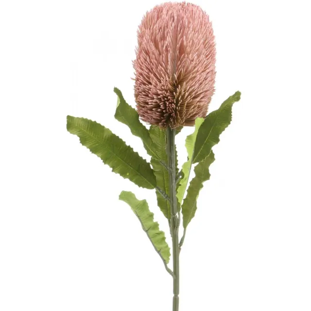 Viana Kunstbloem Banksia roze herfstdecoratie herdenkingsbloemwerk 64cm