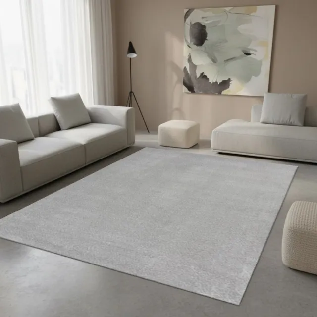 TapisTrend Designer tapijt Zilver Modern, massief zilvergrijs, dik vloerkleed voor de woonkamer, slaapkamer en eetkamer