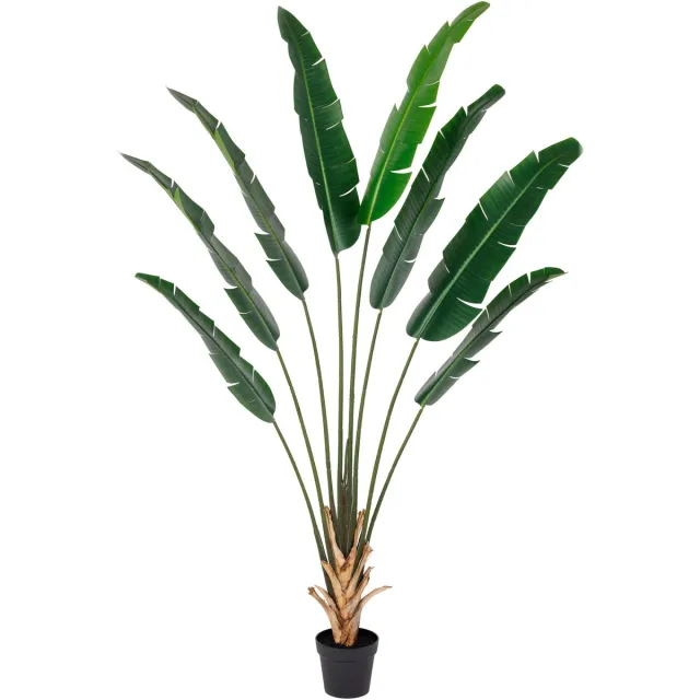 homebound by ky Kunstplant Strelitzia real touch 215cm Meerkleurig
