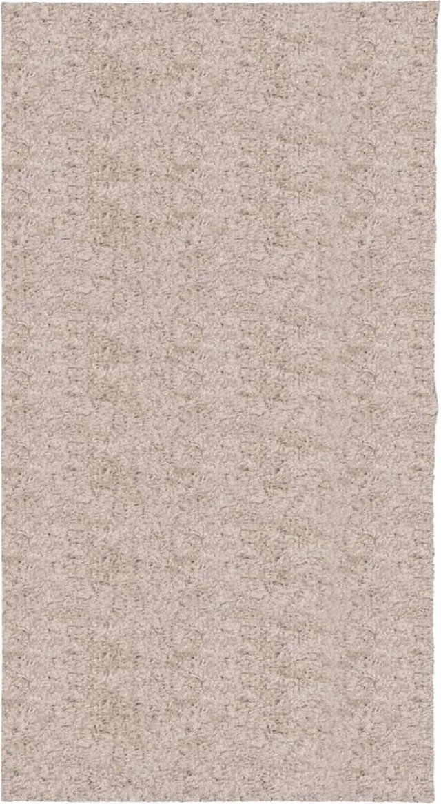 vidaXL Vloerkleed - PAMPLONA - shaggy - hoogpolig - modern - 80x150 - cm - beige