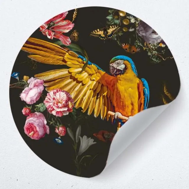 Plakkers Muurcirkel papegaai sticker 60 cm - behangcirkel - woonkamer muur decoratie accessoires Full-color