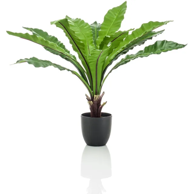 Emerald Kunstplant Asplenium Fern 75cm - Kunstplant voor binnen Groen