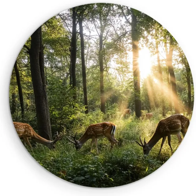 Saammp Forex Muurcirkel - Natuur - 4 Herten in het bos - landschappen - Ø 40 - Wandcirkel - Wanddecoratie Cirkel - Muurdecoratie Woonkamer - Slaapkamer decoratie - Rond Schilderij
