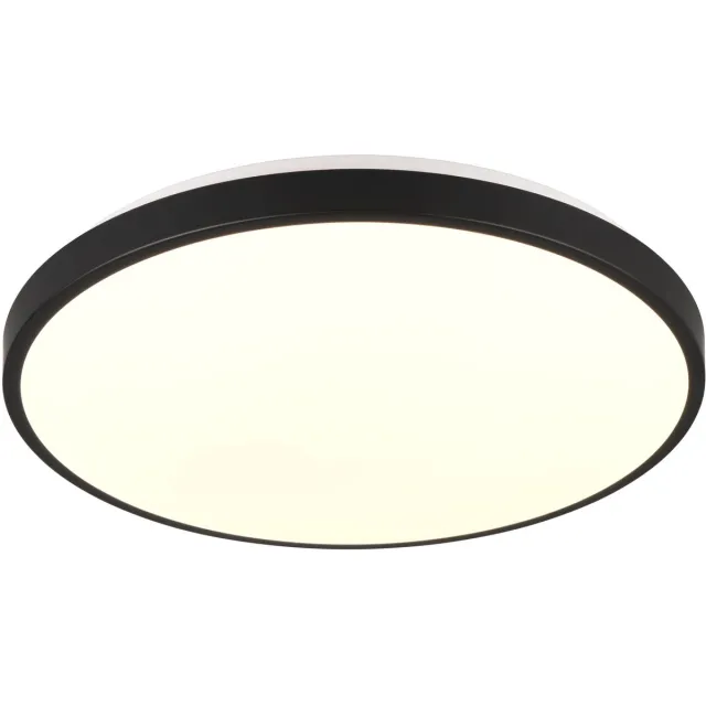 RL LIVE YOUR LIGHT REALITY LOODY - Plafondlamp - Zwart - incl. 1x SMD 22 W - Bewegingssensor - Schemersensor - Niet geschikt voor externe dimmer - Wand- en plafondmontage