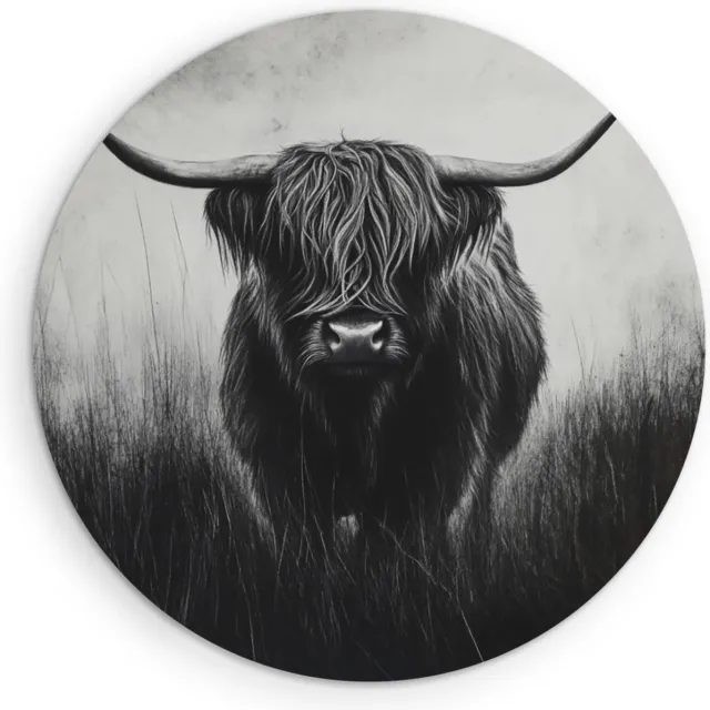 Saammp Forex Muurcirkel - Schotse Hooglander Koe - Zwart-Wit - Dieren - Natuur - Ø 90 - Wandcirkel - Wanddecoratie Cirkel - muurdecoratie Woonkamer - Slaapkamer decoratie - Rond Schilderij
