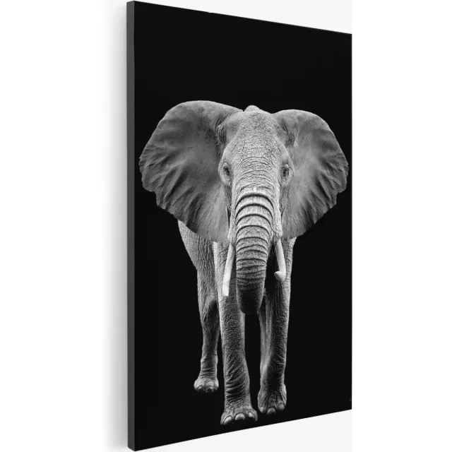 Saammp Canvas Schilderij - Olifanten portret - Natuur - Dieren - 80x120 - Foto op canvas - Wanddecoratie - Muurdecoratie Woonkamer - Slaapkamer decoratie - Canvas Print Multicolor