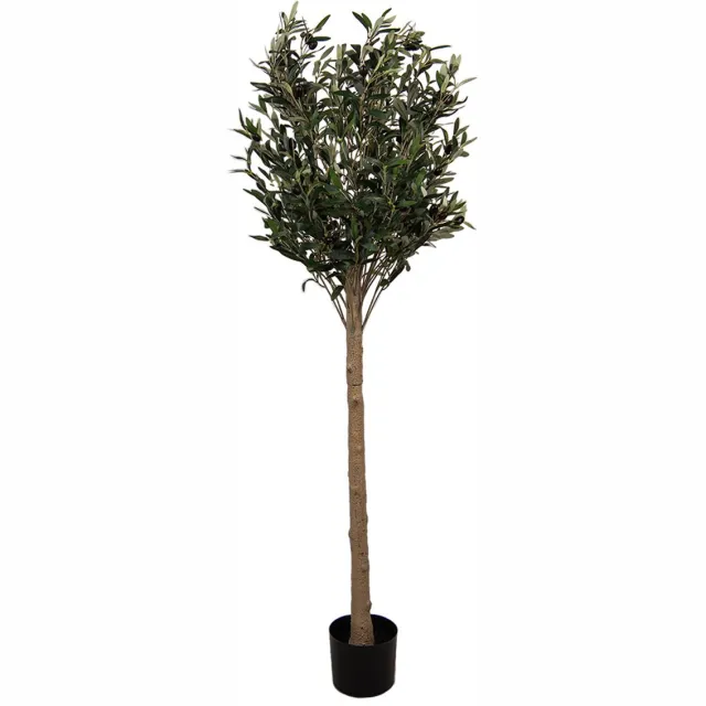 Clayre & Eef Kunst Olijfboom 165 cm Groen Kunststof