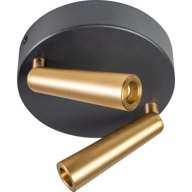 Expo Trading ETH Barry Spot led 2x3w 2700k rond zwart+mat messing dimbaar W320xH160mm 2x66Lm Goud Zwart