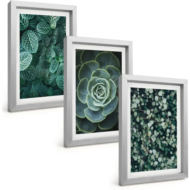 TULUP 4-Delige Schilderij Set - Groene bladeren van vetplanten en tere takjes - 20 x 30 cm - Muurdecoratie - Wanddecoratie - Hal Zilveren lijst
