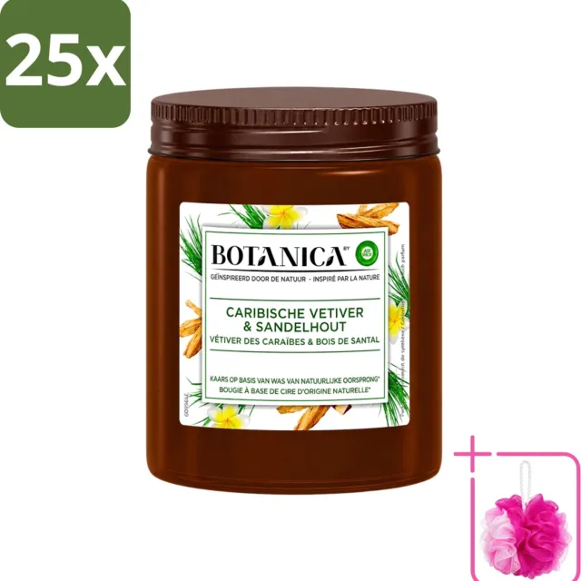 Air Wick 25 x Botanica by Air Wick - Geurkaars - Vetiver & Sandelhout - 40 Uur Brandduur - Bulkverpakking - Geurkaars vetiver sandelhout - Douchemop - Vetiver geur Bruin