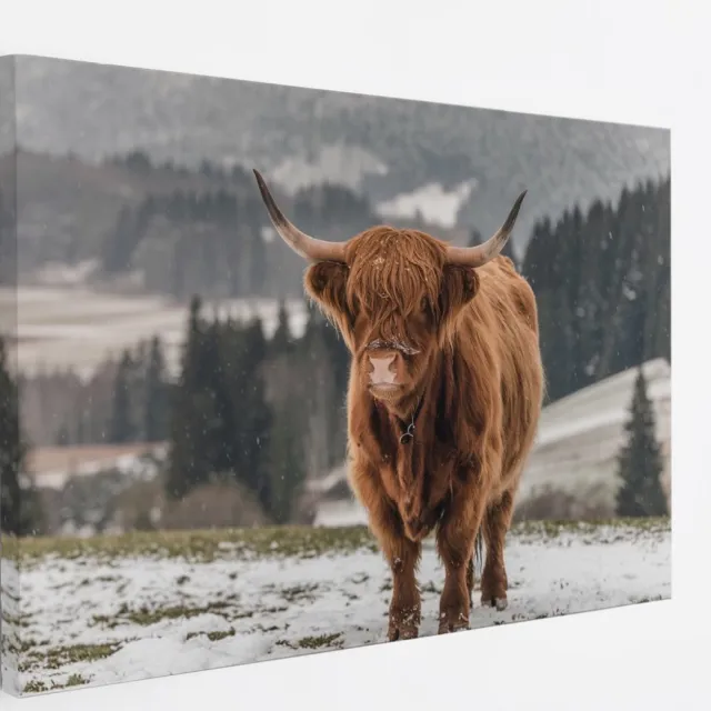 Saammp Canvas Schilderij - 2 Schotse Hooglander Koeien in de sneeuw - Dieren - Natuur - 40x30 - Foto op canvas - Wanddecoratie - muurdecoratie Woonkamer - Slaapkamer decoratie - Canvas Print Multicolor