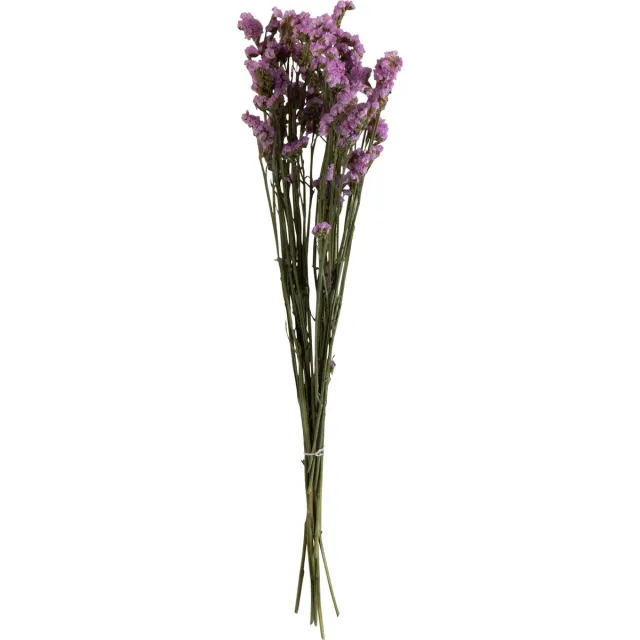 J-Line droogbloemen - Bundel 'Vergeet Mij Nietje' - riet - paars