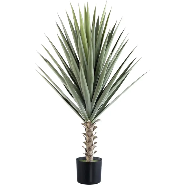 PTMD Leaves Plant Yucca In Black Pot Groen