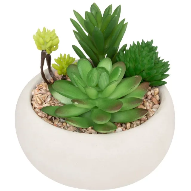 Atmosphera Créateur d'intérieur® Kunstvetplant MIKI Blanc