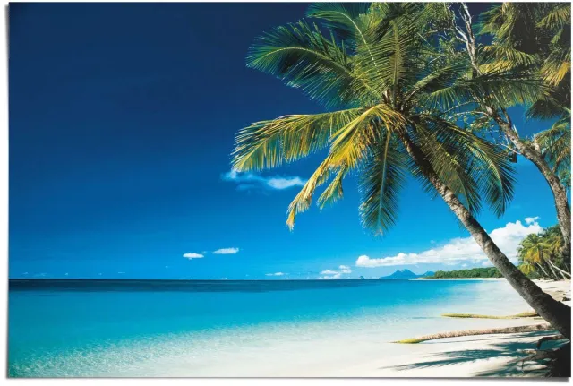 Reinders Poster Beach - morning - 61 x 91,5 - Papier - REINDERS blauw