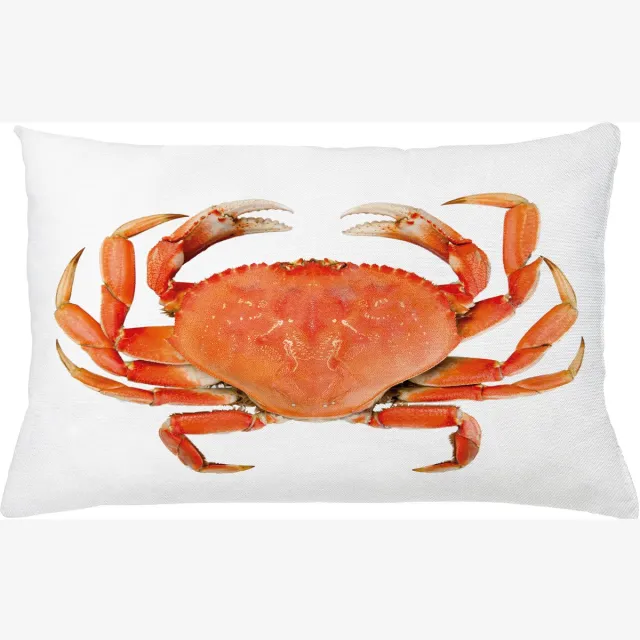 ABAKUHAUS National Kussenhoes, Gekochte Dungeness Crab, Decoratieve Kussenhoes met Dubbelzijdige Print, Ritssluiting, Wasbaar, 65 x 40 cm, Oranje Wit