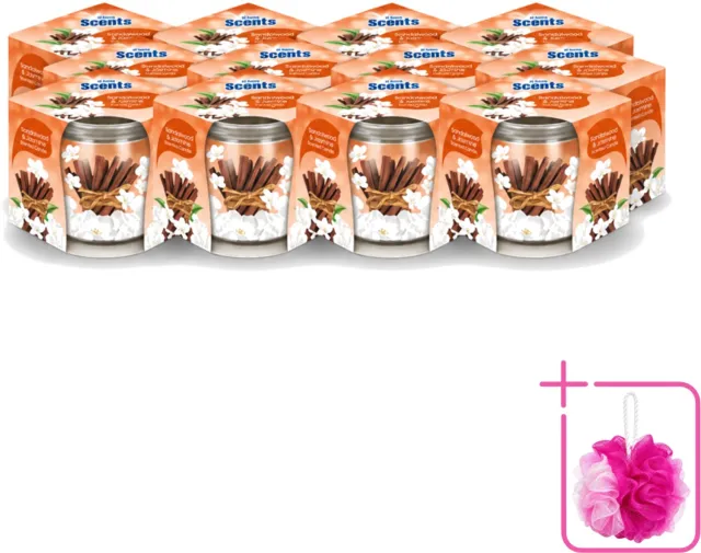 At Home 12 x At Home - Scents - Geurkaars - Sandalwood & Jasmin - 70 g - Bulkverpakking - Geurkaars - Douchemop - Sandelhout Bruin