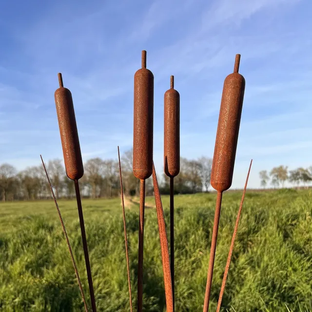 Diron Set van 4 tuinstekers - Lisdodde - tuindecoratie - metaal roest patina - 95 cm lang. 4 stuks