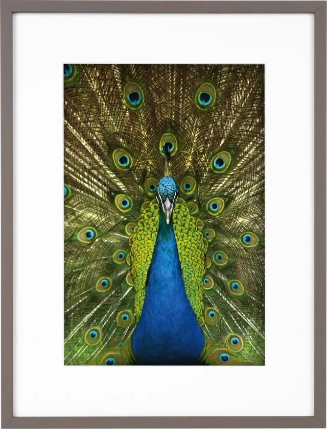 Goldbuch Fotolijst Pino - Taupe - 20x30 cm (30x40 cm)