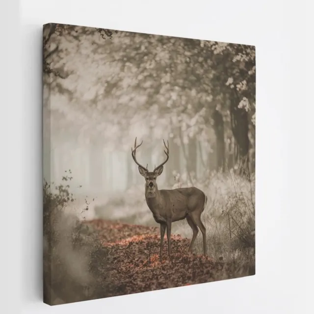 Saammp Canvas Schilderij - Hert in bos tijdens de lente - Natuur - Dieren - 40x40 - Foto op canvas - Wanddecoratie - Muurdecoratie Woonkamer - Slaapkamer decoratie - Canvas Print Multicolor