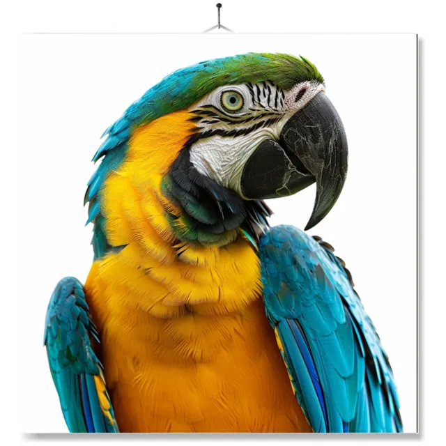MC Living Tegel Met Opdruk | Papegaai | Cadeau | Inclusief Geschenkdoos | Standaard | Ophangsysteem Multi-Color