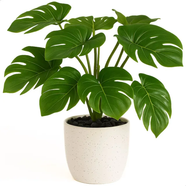 Boncy Premium Kunstplant in pot - 25 cm Monstera Kunst plant - Nep planten voor Binnen en Buiten - Kamer Decoratie - Nepplanten Kunstplanten Boompje - Kunstbloemen Monstera 25cm