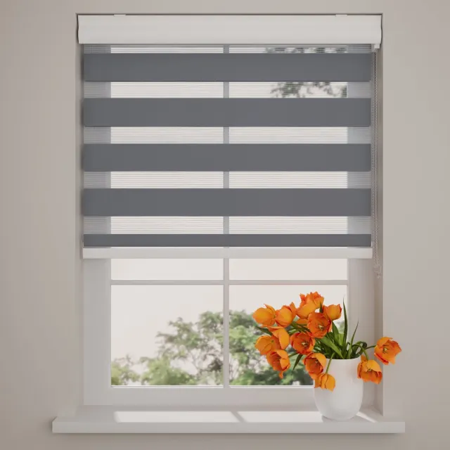 DTCH Duo Rolgordijn - Splendid - Lichtdoorlatend - Grijs - 50 x 175 cm Grey