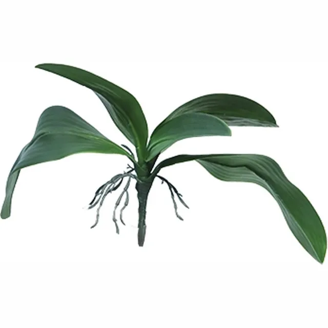 Erutan avon Kunst Orchid leaves & roots lvs green - 35 cm Kunstplant Erutan Avon groen