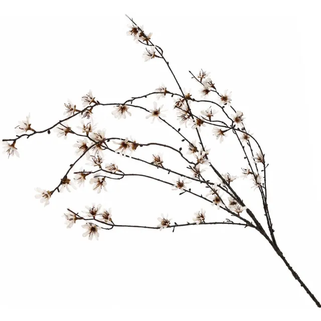 homebound by ky Pruimenbloesemtak 124cm off-white Beige