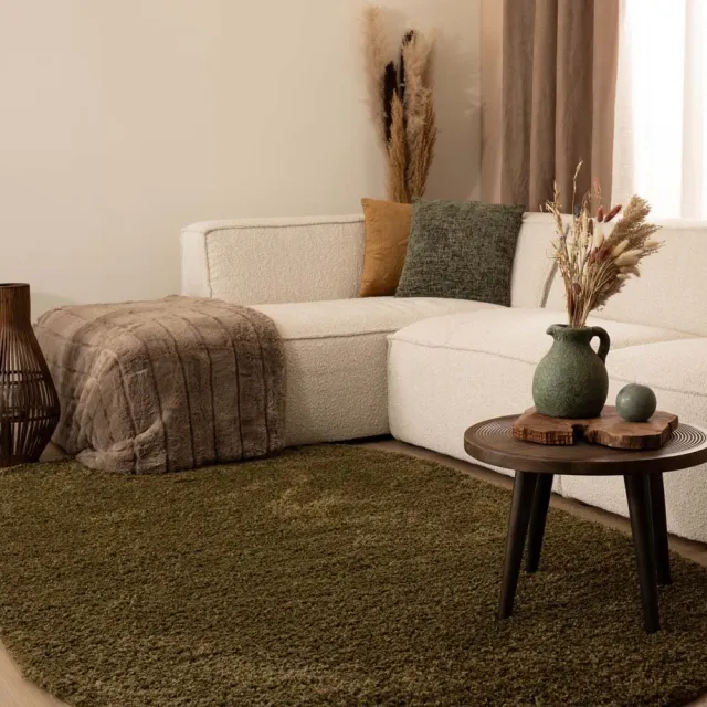 Tapeso Vloerkleed ovaal hoogpolig - Shaggy Trend olijfgroen 200x300