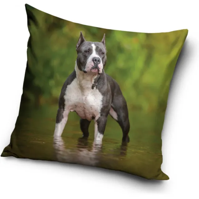 Carbotex Amerikaanse staffordshireterriër - sierkussensloop - 40 x 40 cm meer kleuren
