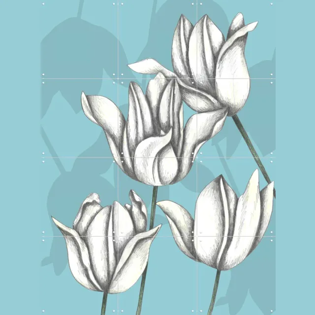 IXXI White Tulips, Cecilia Battaini - 60 x 80 cm - Grote wanddecoratie en posters - Line art, Minimalisme, Tekeningen, Illustraties, Eetkamer, Gang Blauw