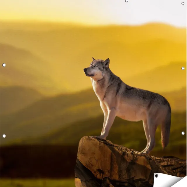 Gards Tuinposter Wolf op een Rots met een Heuvel Landschap - 110x110 cm - Tuindoek - Tuindecoratie - Wanddecoratie buiten - Tuinschilderij Multikleur