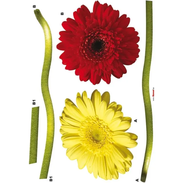 Komar Muursticker - Gerbera - Zelfklevend - Muurdecoratie - Stickers - 50 x 70 cm Multi colour