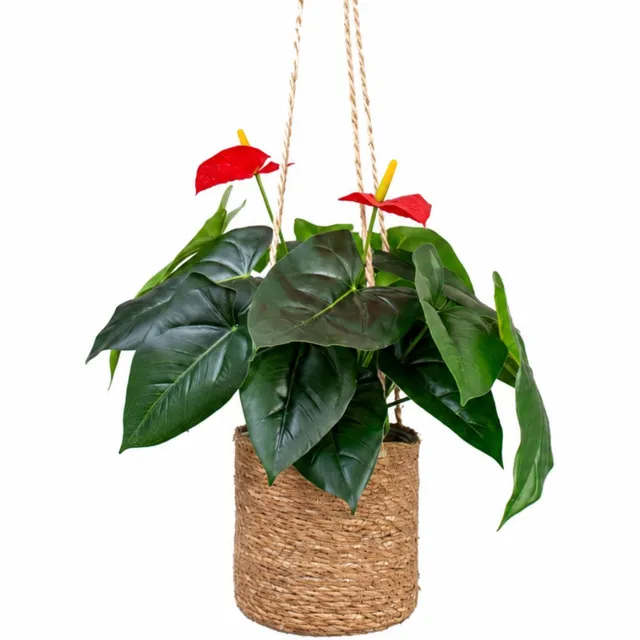 HTT Decorations Kunstplant Anthurium in hangmand naturel L100cm
