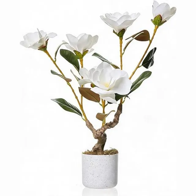 Danky Kunstorchidee - 60cm wit, premium PEVA, 2 stuks met wit design decoratiepot