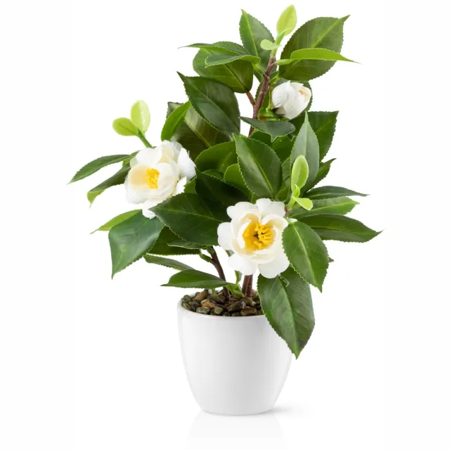 Unyqoos Decoratieve kunstbloem Camelia in keramische pot voor elk interieur Wit