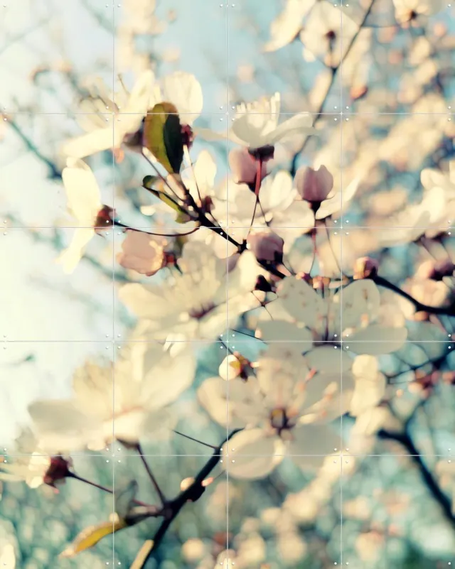 IXXI First Day of Spring, Angelo Cerantola - 80 x 100 cm - Grote wanddecoratie en posters - Fotografie, Slaapkamer, Gang, Woonkamer, Takken, Bloemen Blauw
