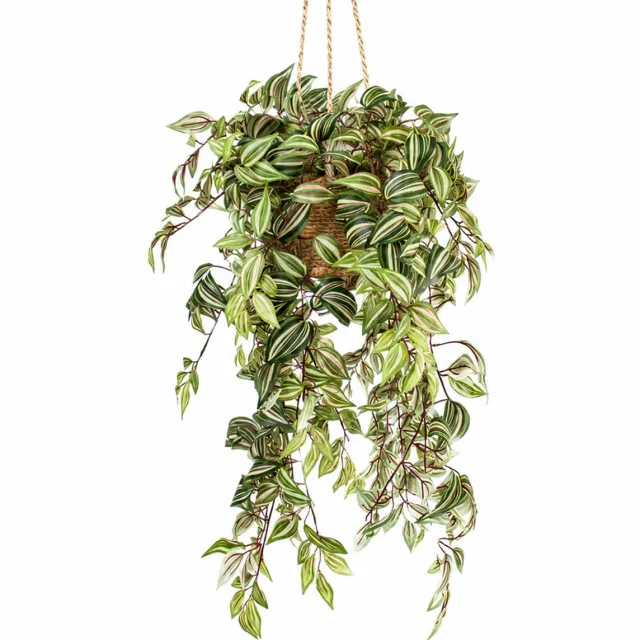 HTT Decorations Kunstplant Tradescantia in hangmand naturel L140cm