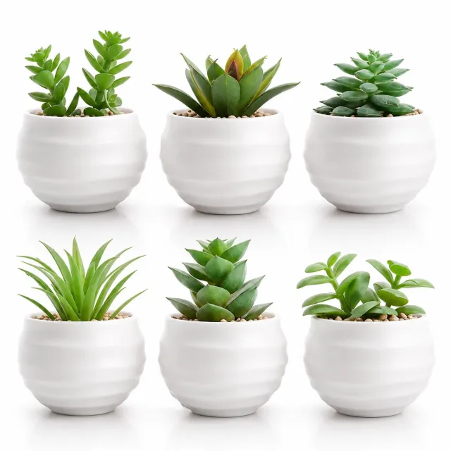 BOTC Kunstplanten in Pot - Set van 6 Kleine Kunstplanten - Kunstmatige Succulenten & Vetplanten - Decoratie voor Woonkamer, Slaapkamer & Bureau Wit
