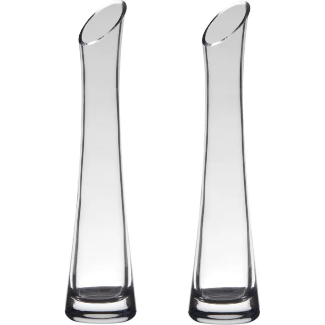 Hakbijl Glass vaas - Set van 2x stuks - 25 x 6 cm - flute model - transparant - bloemenvaas