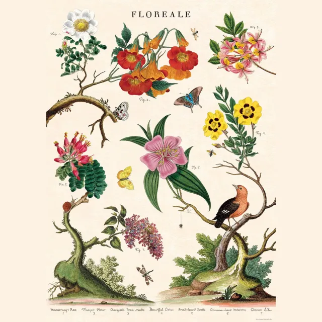 Cavallini & Co Poster Floreale - Cavallini & Co - Vintage schoolplaat - Posters Multi Color